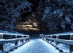 Zima, Park, Schody, Światło, Noc