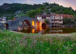 Oświetlony most nad rzeką Crnojevica