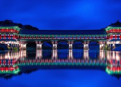 Oświetlony most Woljeonggyo Bridge w Gyeongju w Korei Południowej