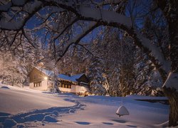 Zima, Śnieg, Drzewa, Oświetlony, Dom