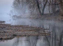 Rzeka, Mgła, Drzewa, Oszroniona, Trawa