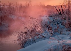 Oszroniona trawa nad zamgloną rzeką