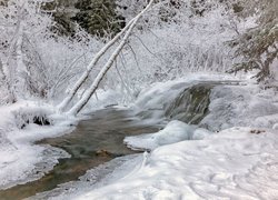 Oszronione drzewa i krzewy nad przymarzniętą rzeką