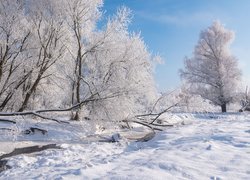 Oszronione drzewa nad przysypaną śniegiem rzeczką
