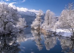 Oszronione drzewa nad rzeką i góry w oddali