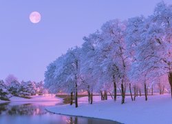 Zima, Śnieg, Rzeka, Drzewa, Księżyc