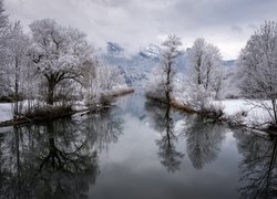 Niemcy, Bawaria, Miejscowość Kochel am See, Rzeka Loisach, Zima, Drzewa, Góry