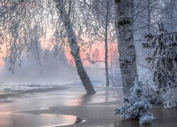 Zima, Mróz, Oszronione, Drzewa, Jezioro, Lód, Mgła, Poranek