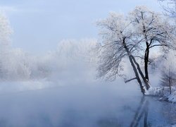 Oszronione drzewa nad zamgloną rzeką