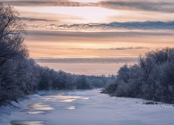 Oszronione drzewa nad zaśnieżoną rzeką