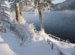 Zima, Śnieg, Drzewa, Szron, Pogodny dzień, Jezioro, Canim Lake, Kolumbia Brytyjska, Kanada