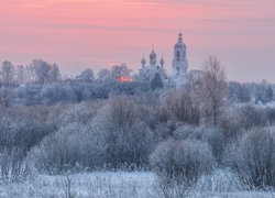 Zima, Rośliny, Oszronione, Cerkiew, Dunilovo, Rosja, Krzewy, Drzewa