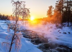 Oszronione drzewo nad rzeką Juutuanjoki