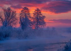 Zima, Rzeka Gwda, Mgła, Śnieg, Drzewa, Zachód słońca, Polska