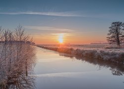 Oszronione trawy i drzewa nad rzeką o wschodzie słońca