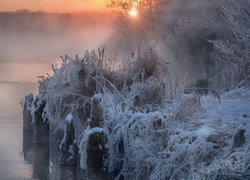 Zima, Jezioro Białe, Oszronione, Trawy, Krzewy, Zachód słońca, Miejscowość Szatura, Obwód moskiewski, Rosja