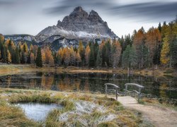 Jezioro, Antorno Lake, Mostek, Góry, Dolomity, Masyw, Tre Cime di Lavaredo, Drzewa, Prowincja Belluno, Włochy