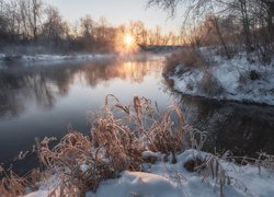 Zima, Śnieg, Drzewa, Trawa, Rzeka, Mgła, Promienie słońca