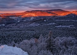 Zima, Góry Jesioniki, Lasy, Śnieg, Sudety Wschodnie, Czechy
