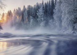 Rzeka, Ośnieżone, Drzewa, Las, Mgła, Zima, Finlandia