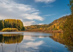 Norwegia, Jezioro, Semsvannet, Las, Drzewa, Jesień