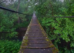 Otoczony drzewami drewniany most wiszący nad rzeką