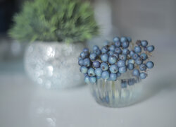 Owoce derenia błękitnego w szklanym naczyniu