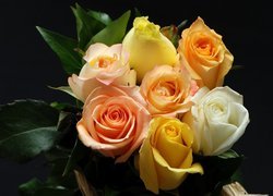 Róże, Kolorowe, Kwiaty, Liście