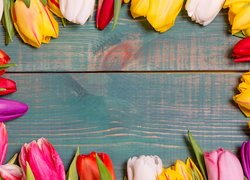 Kolorowe, Tulipany, Pąki, Deski