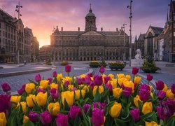 Holandia, Amsterdam, Pałac Królewski, Tulipany, Zachód słońca