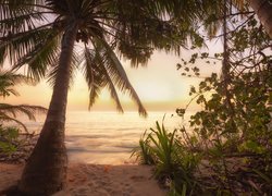 Wschód słońca, Malediwy, Morze, Plaża, Palmy