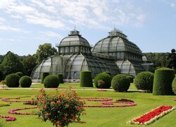 Austria, Wiedeń, Schonbrunn, Palmiarnia, Ogród, Park, Kwiaty