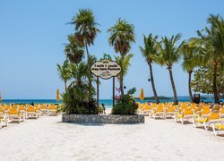 Palmy i leżaki na brzegu zatoki Mahogany Bay na honduraskiej wyspie Roatan