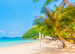 Palmy i leżaki pod parasolami na plaży w tropikach