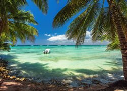 Palmy i łodzie na wybrzeżu Dominikany