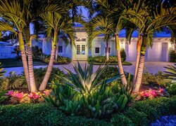 Palmy i ogród przed domem w Palm Beach Garden na Florydzie