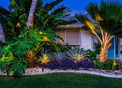 Palmy i ogródek przed domem w Palm Beach Garden na Florydzie
