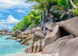 Palmy i skały bazaltowe na plaży Anse Cocos