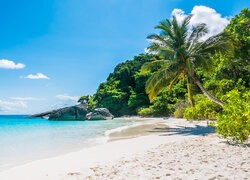 Palmy i skały na morskiej plaży w tropikach