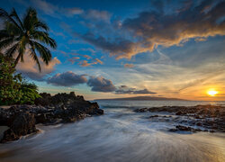 Palmy na morskiej plaży o zachodzie słońca
