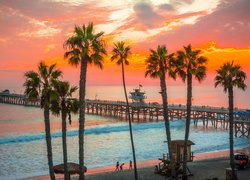 Palmy na plaży i molo w San Clemente