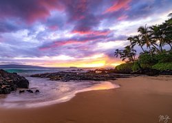 Stany Zjednoczone, Hawaje, Maui, Morze, Plaża, Palmy, Skały