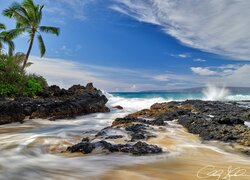 Stany Zjednoczone, Hawaje, Maui, Morze, Palmy, Skały, Plaża