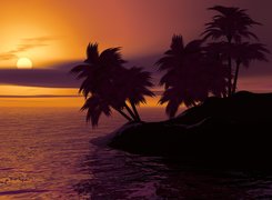 Palmy na skałach nad morzem o zachodzie słońca