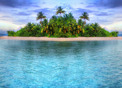 Palmy na wyspie w tropikach