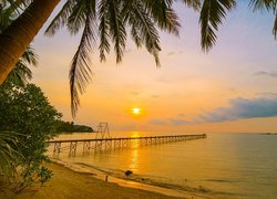 Palmy nad brzegiem morza w zachodzącym słońcu