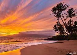 Hawaje, Wyspa Maui, Morze, Palmy, Zachód słońca, Plaża