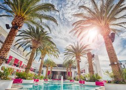 Palmy przy basenie w Cromwell Hotel w Las Vegas