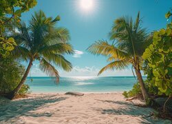 Plaża, Palmy, Morze, Niebo, Słoneczny blask, Piasek