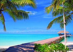 Niebo, Morze, Palmy, Wyspa, Pomost, Wyspa Nalaguraidhoo, Malediwy